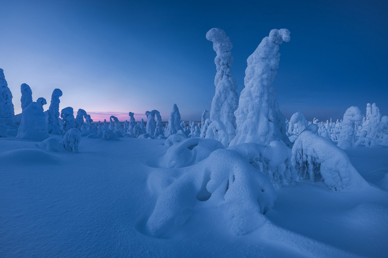 Destination de rêve pour les photographes: la Laponie